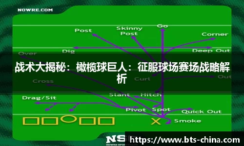 ng体育官网